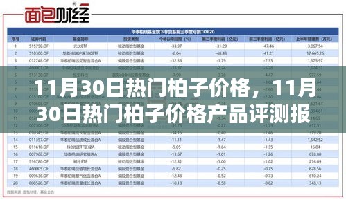 11月30日熱門柏子價格及評測報告解析