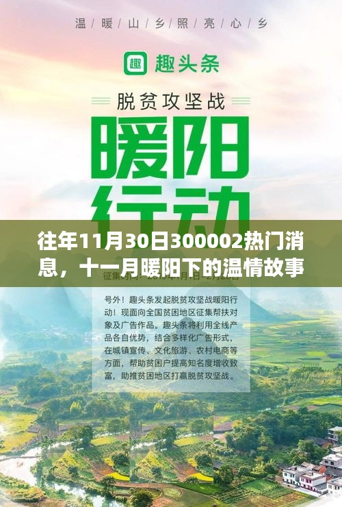 十一月暖陽下的溫情故事，揭秘300002熱門消息的溫馨日常揭秘