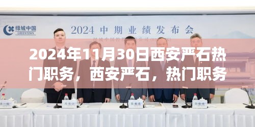 揭秘西安嚴石熱門職務背后的故事與影響，2024年回顧