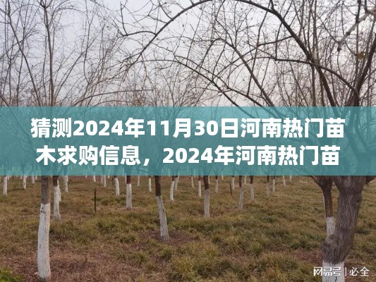 2024年河南熱門苗木求購信息預(yù)測，多方視角解讀與觀點(diǎn)碰撞，未來趨勢展望