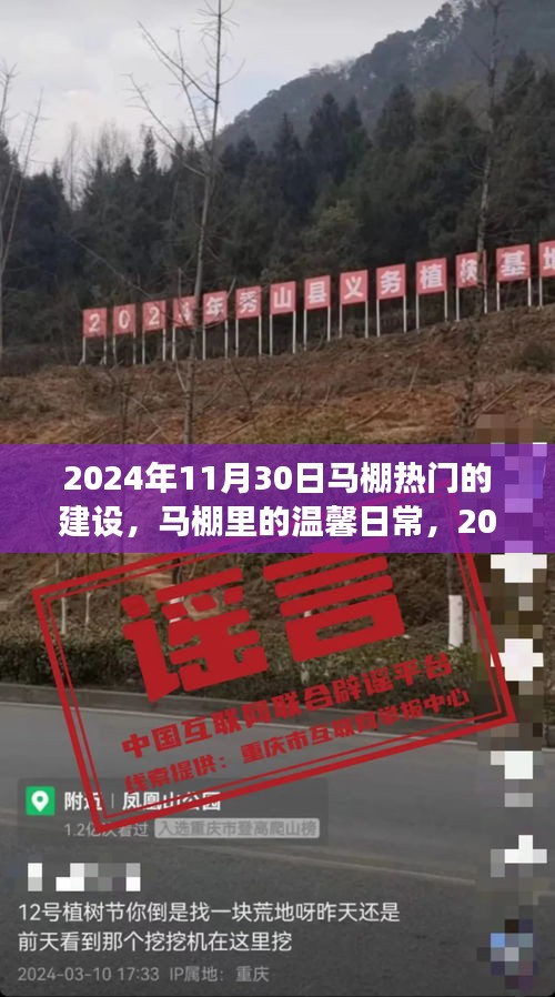 馬棚溫馨日常與熱鬧建設(shè)之旅，2024年11月30日的記錄