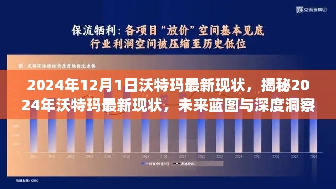 揭秘沃特瑪最新現(xiàn)狀，未來(lái)藍(lán)圖與深度洞察（2024年觀察）