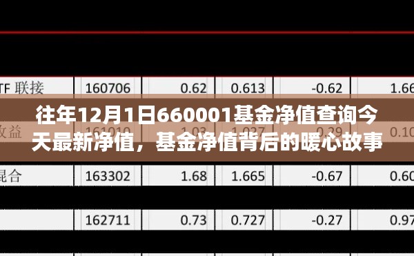 友情與陪伴的溫馨旅程，揭秘最新基金凈值背后的暖心故事——關于基金凈值查詢的最新動態(tài)（今日更新）