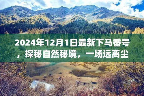 探秘自然秘境，啟程于2024年心靈之旅的冒險(xiǎn)號(hào)角