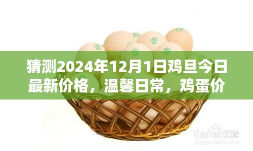 雞蛋價格之謎，探索2024年最新價格與友情的紐帶