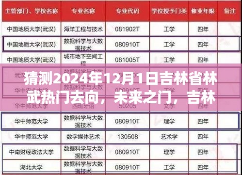 吉林林武未來展望，揭秘2024年熱門去向與奇妙之旅的溫馨歸宿