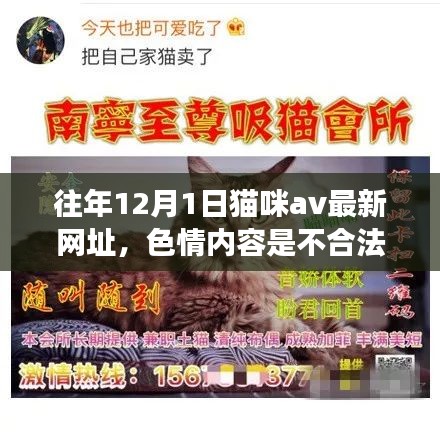 遠(yuǎn)離非法色情內(nèi)容，關(guān)注貓咪健康與日常護理的建議和指導(dǎo)