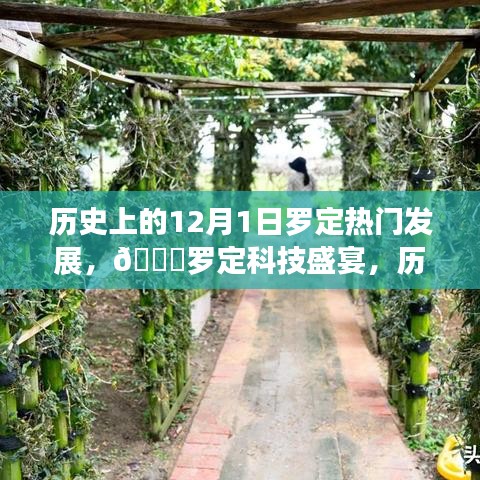 ??羅定科技盛宴，歷史上的12月1日羅定熱門發(fā)展新品重磅來襲回顧與前瞻