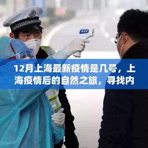 上海疫情后的自然之旅，尋找內(nèi)心的寧?kù)o與力量之旅（最新疫情動(dòng)態(tài)）