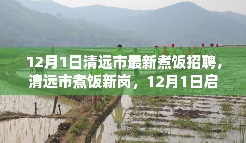 清遠(yuǎn)市最新煮飯招聘啟航，烹飪?nèi)松晒Φ拿卦E探尋之路