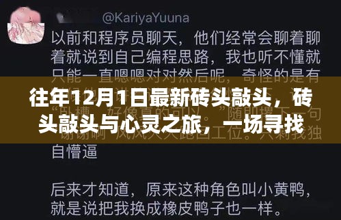 尋找內(nèi)心平靜的奇妙冒險，磚頭敲頭與心靈之旅
