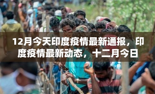 印度疫情最新動態(tài)，十二月今日通報更新