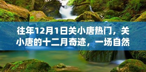關小唐的十二月奇跡，自然美景治愈之旅，熱門話題揭秘