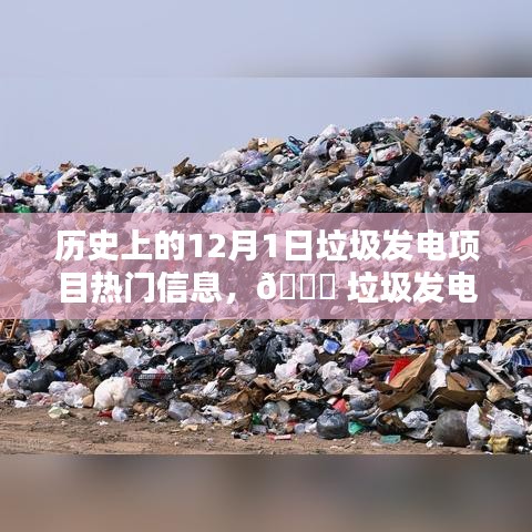 揭秘垃圾發(fā)電項目的科技魅力與最新體驗，歷史上的12月1日垃圾發(fā)電項目熱門信息回顧與前沿展望