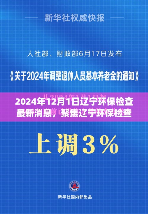 聚焦遼寧環(huán)保檢查最新動(dòng)態(tài)與解讀（2024年12月版）