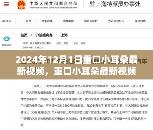 重口小耳朵最新視頻探討，內(nèi)容與受眾接受度的微妙平衡揭秘（2024年）