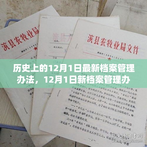 建議，新檔案管理辦法出臺，心靈與自然美景之旅啟程