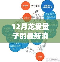 揭秘十二月龍愛量子最新動態(tài)，進展、領(lǐng)域地位與背景解析