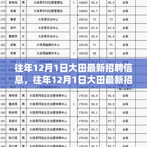 往年12月1日大田最新招聘信息解讀與匯總
