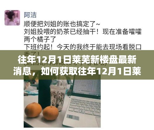 往年12月1日萊蕪新樓盤最新消息獲取指南，詳細(xì)步驟與最新動態(tài)速遞