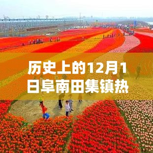 歷史上的12月1日阜南田集鎮(zhèn)熱門規(guī)劃深度解析與評(píng)測(cè)