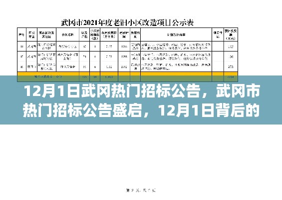 揭秘武岡市熱門招標(biāo)公告背后的故事與影響，12月1日盛啟