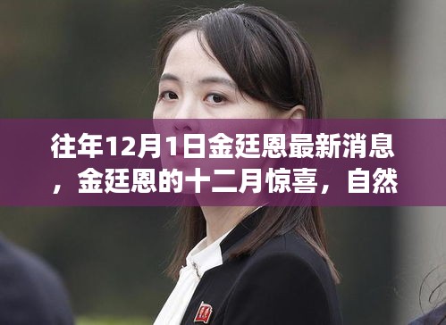 金廷恩十二月驚喜之旅，心靈啟示與自然美景的交融時(shí)刻