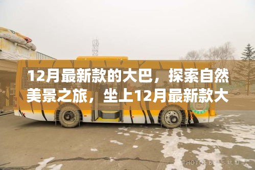 坐上最新款大巴，開啟自然美景探索之旅，尋找內(nèi)心的寧靜與平和