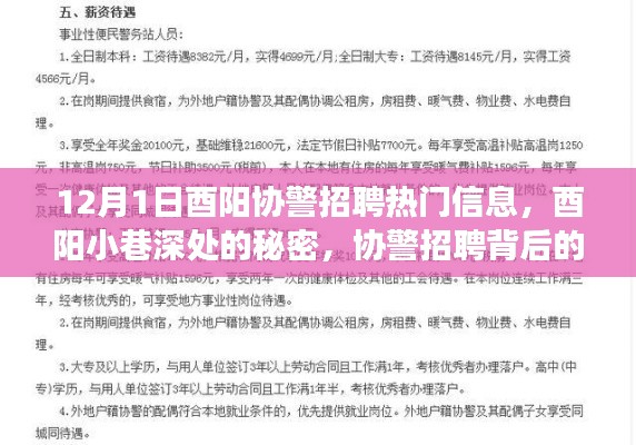 酉陽(yáng)協(xié)警招聘背后的故事，小巷深處的秘密與獨(dú)特小店之旅