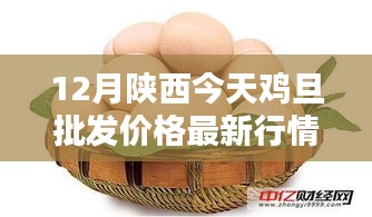 陜西今日雞蛋批發(fā)價格詳解，最新行情、查詢方法與應(yīng)對策略