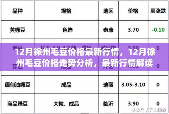 徐州毛豆行情解析，最新價格走勢與解讀