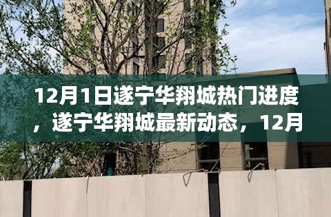 遂寧華翔城12月1日最新動(dòng)態(tài)及熱門(mén)進(jìn)度全解析