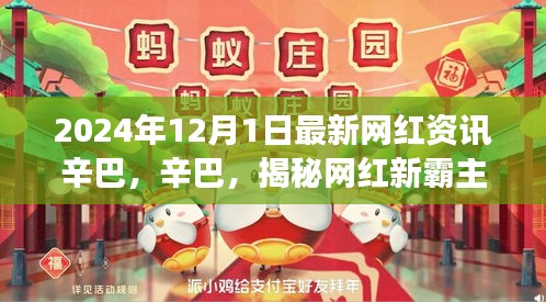 揭秘網(wǎng)紅霸主辛巴，小紅書最新資訊揭秘其背后的故事（2024年12月）