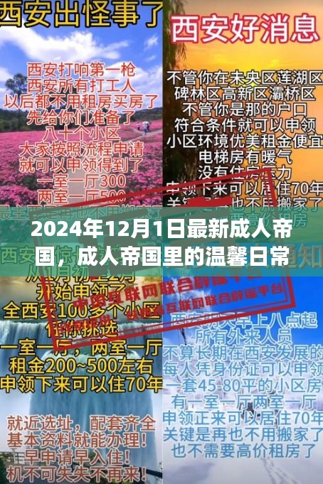 成人帝國(guó)里的溫馨日常，陽(yáng)光故事2024年12月1日