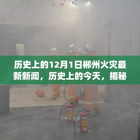 揭秘郴州火災(zāi)背后的故事，歷史上的今天回顧與最新新聞報(bào)道
