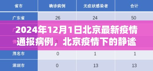 北京疫情通報病例下的靜謐之旅，自然美景的心靈之旅