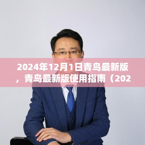 青鳥最新版使用指南（2024年12月版），初學(xué)者與進(jìn)階用戶指南共鑒