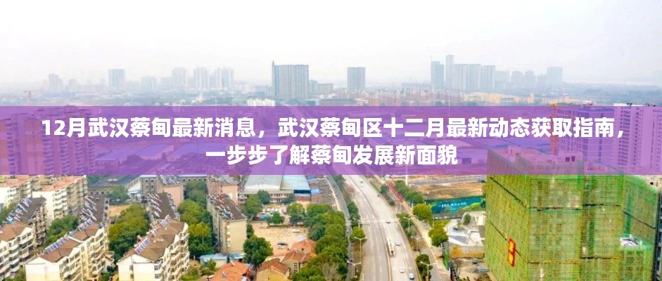 武漢蔡甸區(qū)十二月最新動(dòng)態(tài)全解析，發(fā)展面貌大揭秘