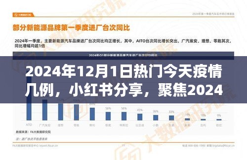 小紅書分享，聚焦2024年12月1日疫情最新動(dòng)態(tài)及今日疫情數(shù)據(jù)報(bào)告