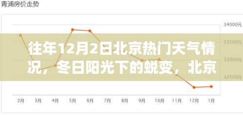 北京往年12月2日冬日陽光下的學(xué)習(xí)之旅與自信起航，天氣回顧與蛻變時(shí)刻