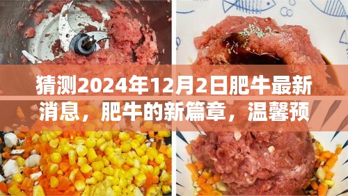 肥牛新篇章，溫馨預(yù)測(cè)肥牛最新消息，展望驚喜日常