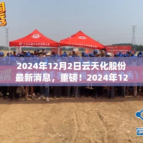 獨(dú)家揭秘，云天化股份最新動(dòng)態(tài)與未來展望（2024年12月2日更新）