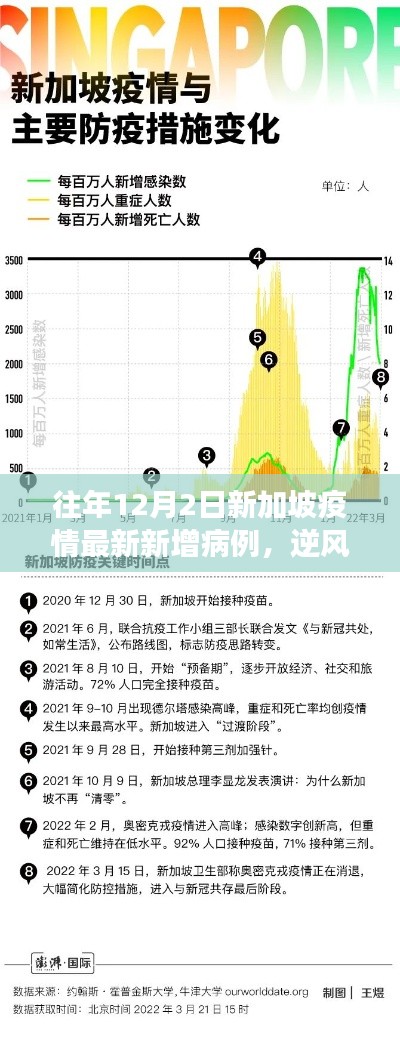 新加坡疫情下的勵(lì)志篇章，逆風(fēng)砥柱，學(xué)習(xí)變化的力量與自信之路——?dú)v年12月2日最新數(shù)據(jù)回顧