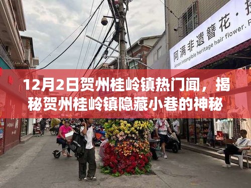 賀州桂嶺鎮(zhèn)隱藏小巷的神秘特色小店探尋，美食探險(xiǎn)之旅揭秘聞