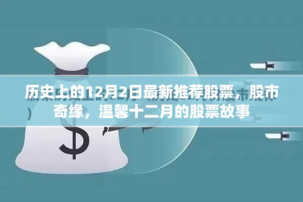 溫馨十二月，股市奇緣與最新推薦股票故事回顧