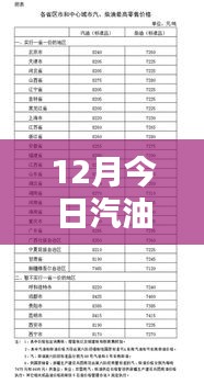 最新汽油價(jià)格分析，揭示多重因素背后的走勢(shì)與個(gè)人觀點(diǎn)