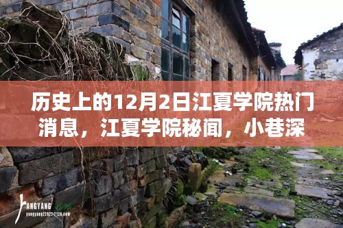 江夏學(xué)院十二月二日秘聞探尋，寶藏小店與獨(dú)特風(fēng)采揭秘
