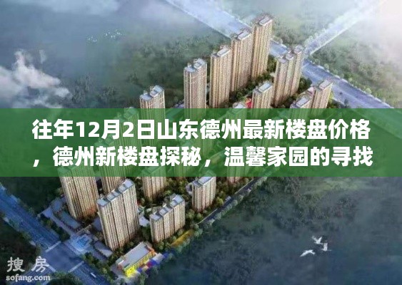 德州新樓盤價(jià)格揭秘，溫馨家園探尋與友情綻放日