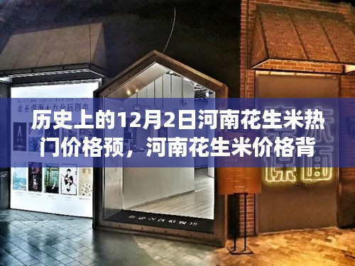 河南花生米價格背后的故事，友情與陪伴的冬日奇遇在12月2日揭曉的熱門預測