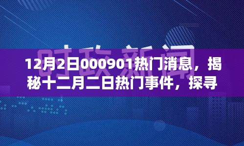 揭秘十二月二日熱門(mén)事件內(nèi)幕，探尋消息背后的故事與影響